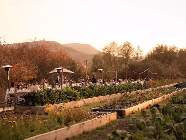 Gracie’s Farm Dinner Series: Baby Spring Vegetables